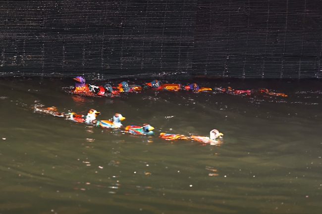 Hanoï-Thang Long water puppet show-016